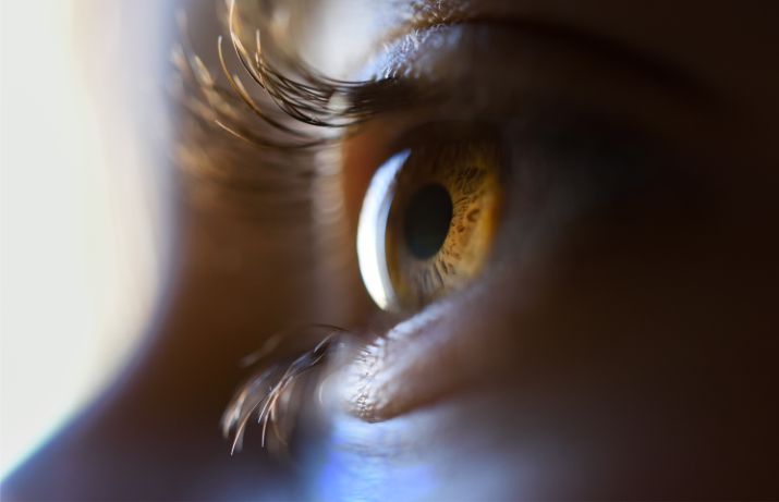 This image for Image Layouts addon